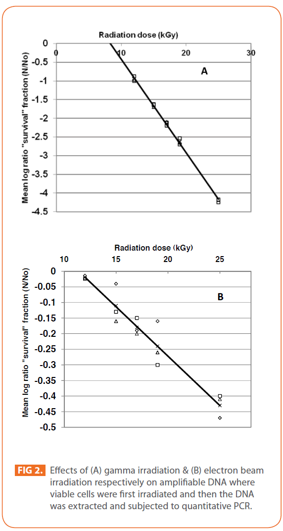 Effects of gamma and electron beam irradiation on ...