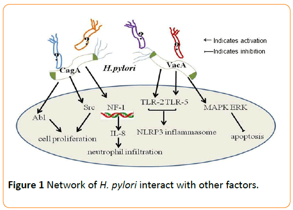acmicrob-Network-interact